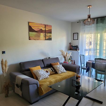 Chambre Sud Chez Habitant Toulouse Dış mekan fotoğraf
