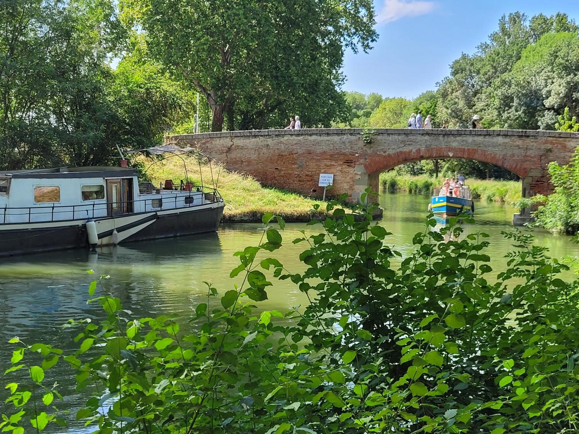 Chambre Sud Chez Habitant Toulouse Dış mekan fotoğraf